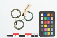 Foto von Bronzering (NHMW-PRAE-026304)